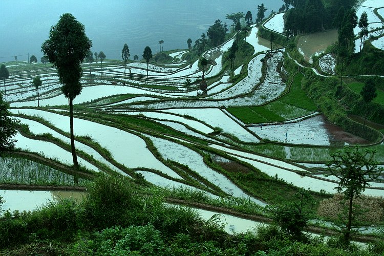 山水茗岙 摄影 如诗入画