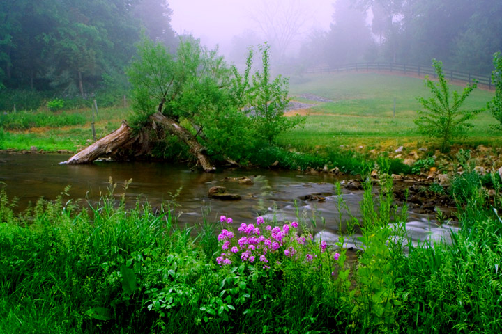 "PENNSYLVANIA SPRING" 摄影 yuhan