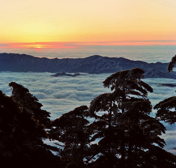 冬晨 摄影 黄山根宝