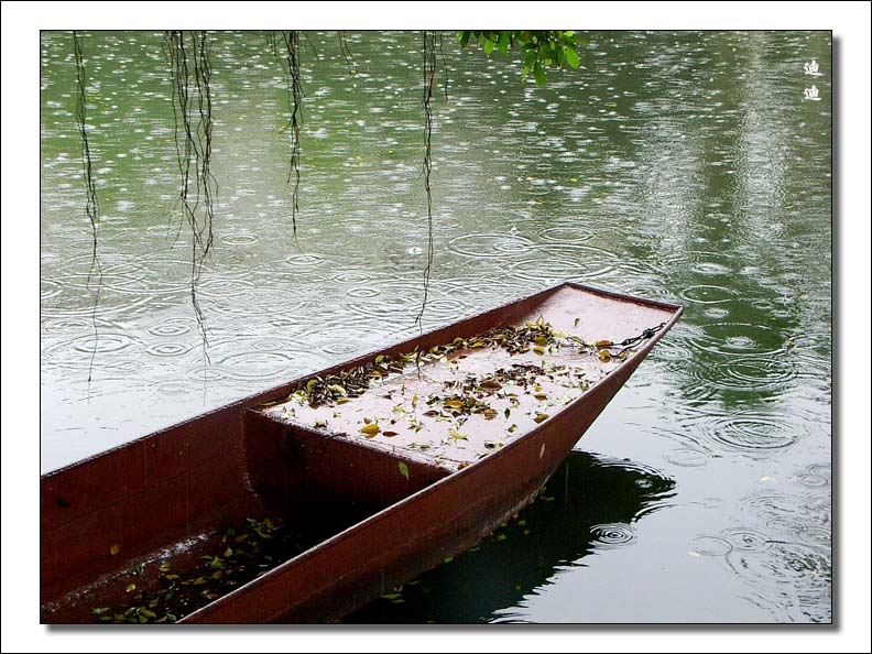 雨景 摄影 迪迪宝贝