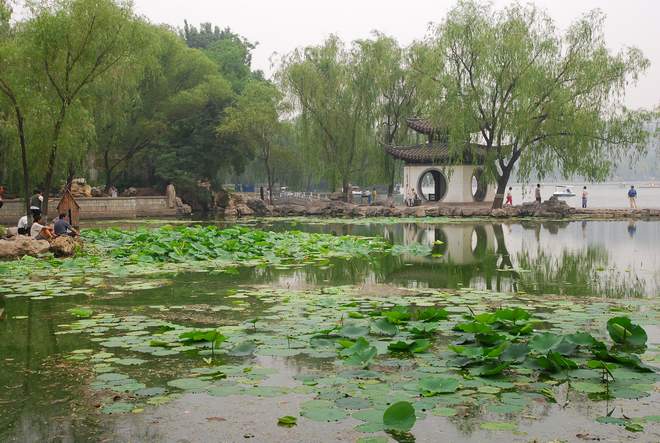 初夏陶然绿------吹台景色 摄影 ZUZI