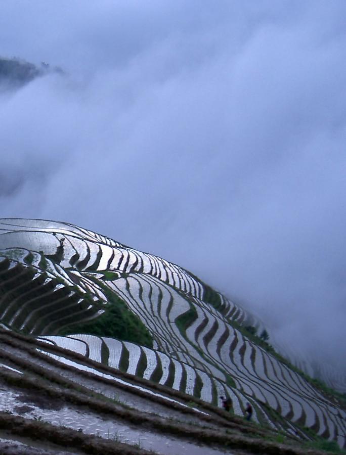 龙脊晨曦 摄影 雨中丁香