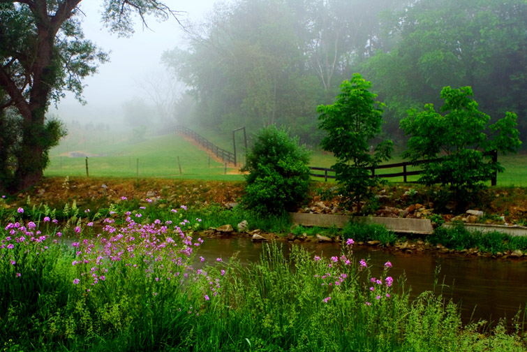 "PENNSYLVANIA SPRING" 摄影 yuhan