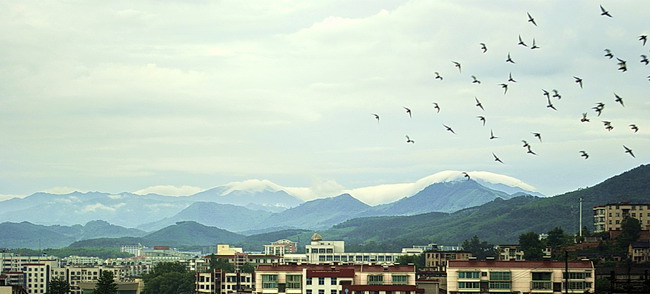 雨后 摄影 风帆