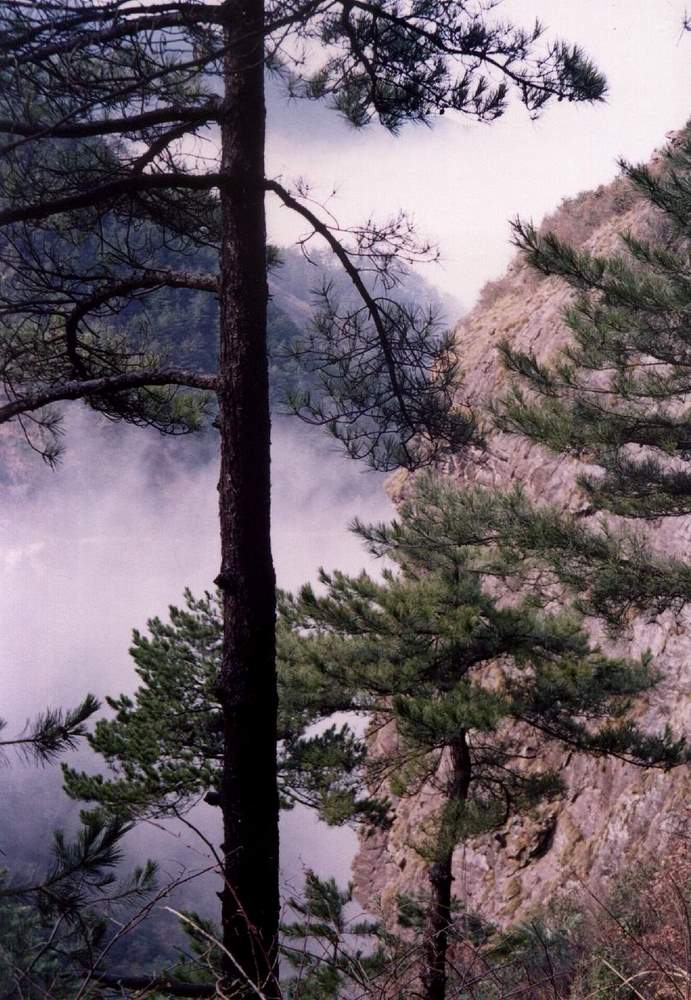 浙南有个岩背村（8）：百丈岩 摄影 平平村夫