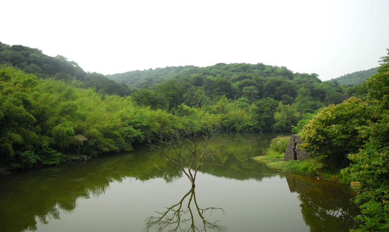 生态家园 摄影 在雨中878