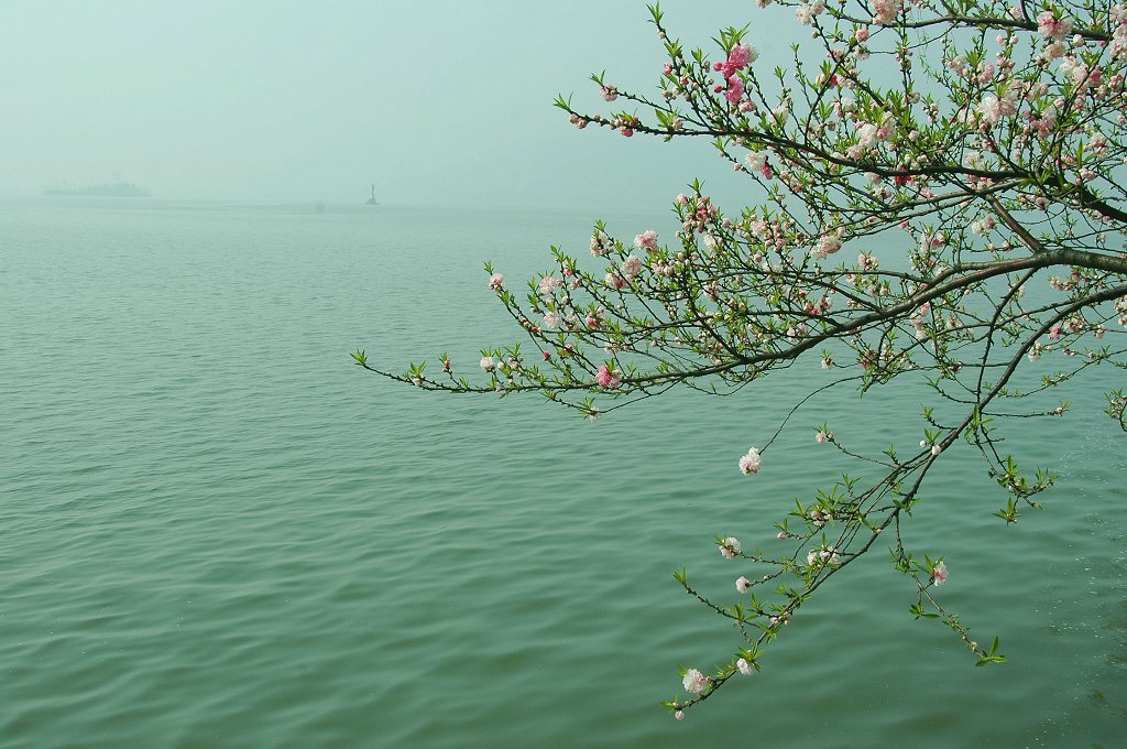 心随湖水共悠悠 摄影 二泉印月