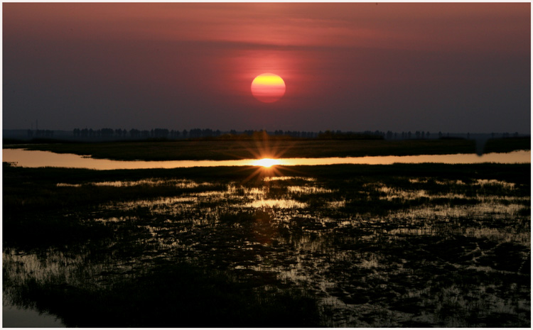 湿地 夕阳 摄影 金秋拾贝