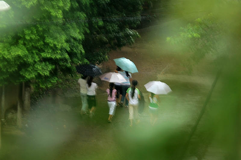 春雨 摄影 紫日