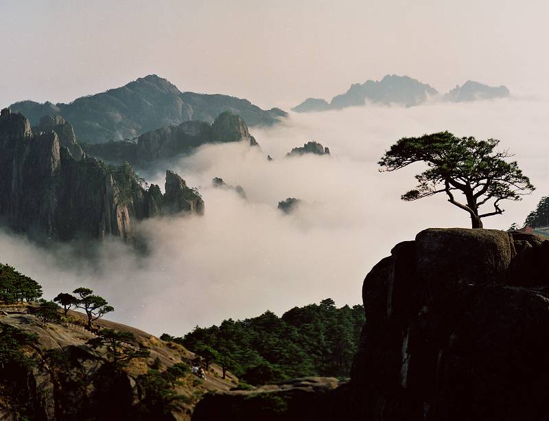 苍松凌云 摄影 黄山根宝