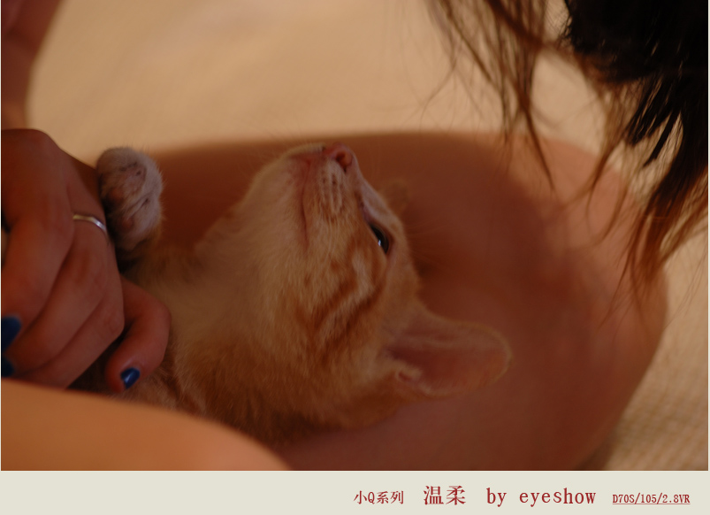 小猫 QQ 摄影 eyeshow