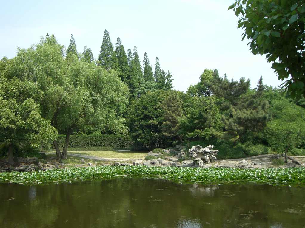 植物园 摄影 hang