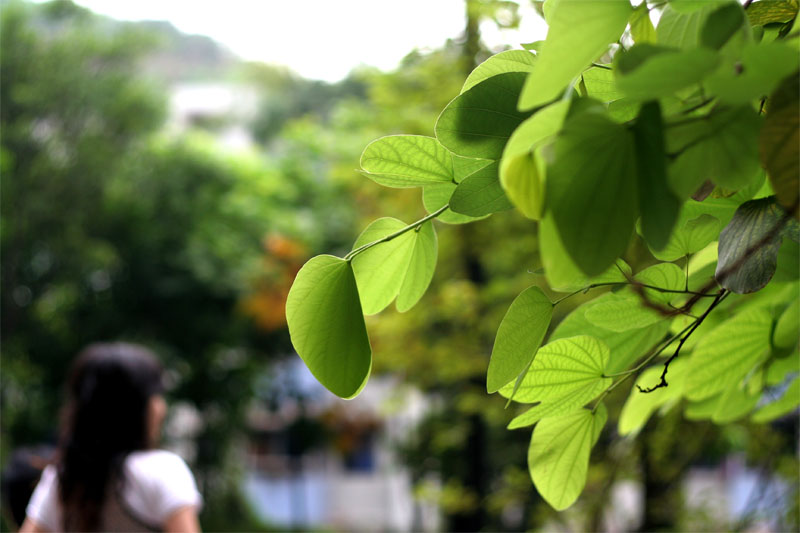 杂片 摄影 纯学习