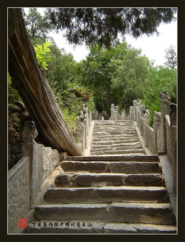 山道 摄影 秦汉