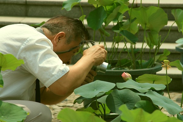 执着 摄影 wenqing