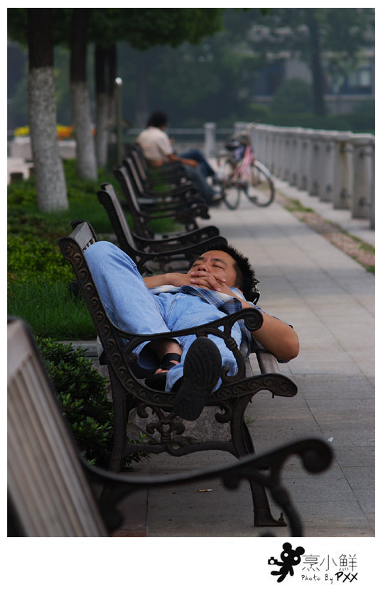 《好梦时节》 摄影 烹小鲜