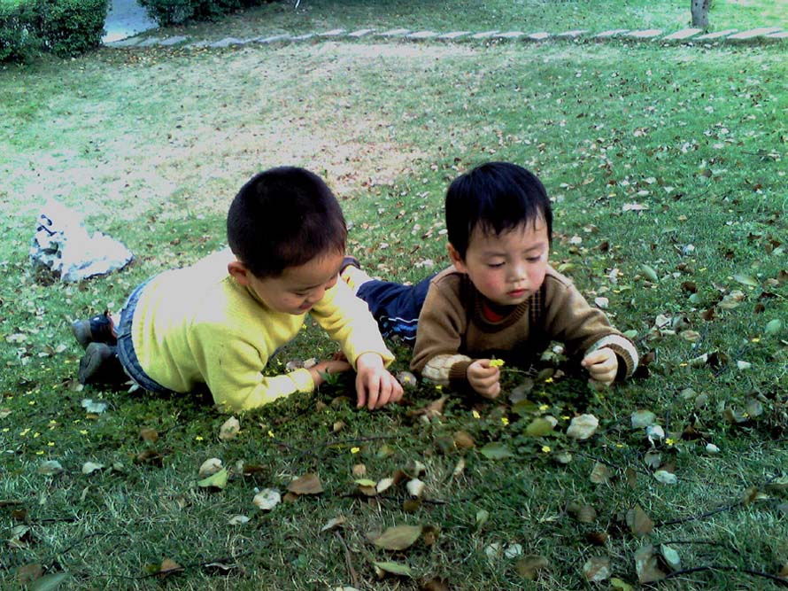 小伙伴 摄影 书鸣