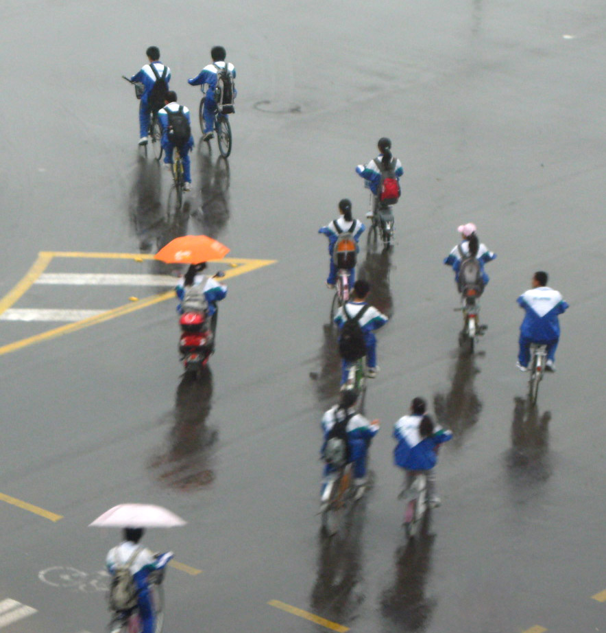 在雨中。。。。 摄影 森林雨季