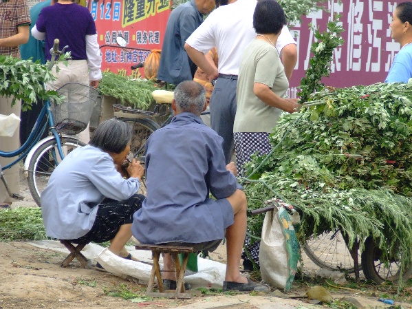 身边的故事3 摄影 象风一样