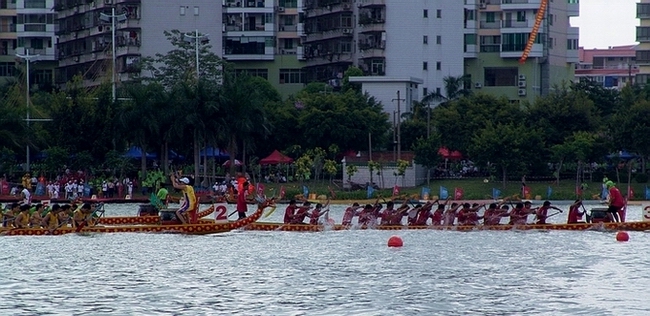 你追我赶 摄影 鑫鑫