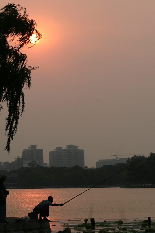 夕阳红 摄影 济南泉水