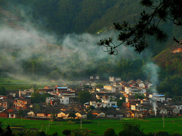 山村 摄影 荷心