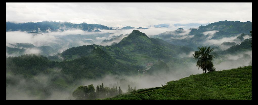 歧跃山云海 摄影 摄途