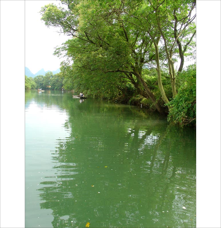 花江的生态环境 摄影 夜雨随风