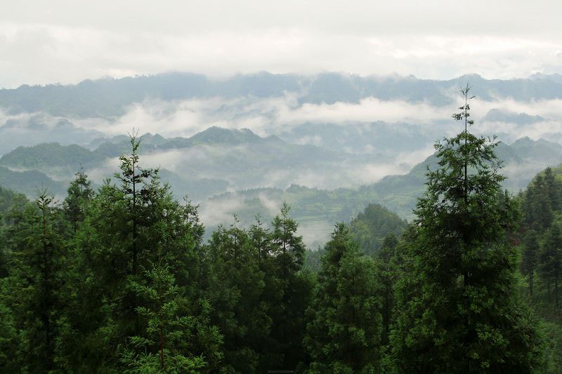 歧跃山云海之二 摄影 摄途