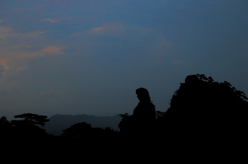 佛光 摄影 黄山草