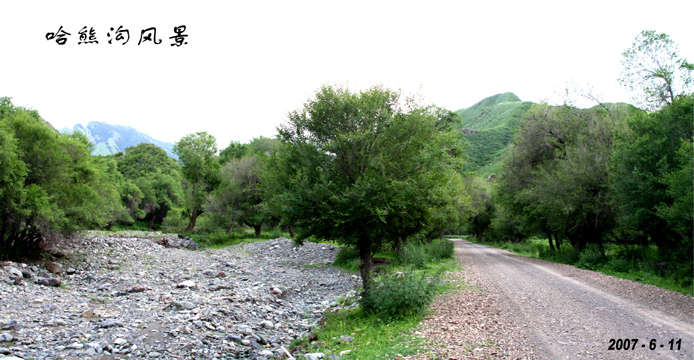 哈 熊 沟 风 景 摄影 泉水冬冬