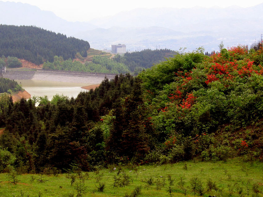 家乡小景 摄影 云南人