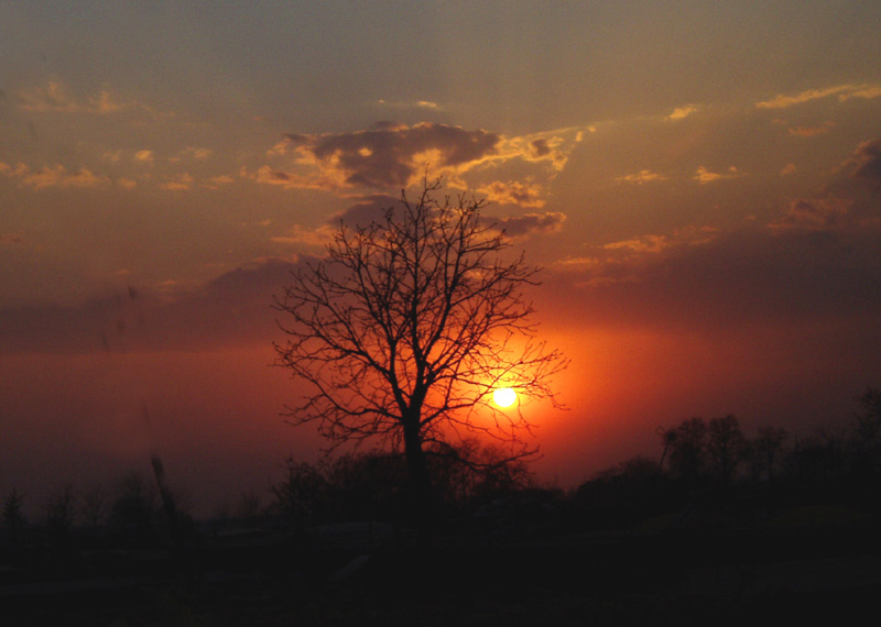 乡村夕阳 摄影 乡土