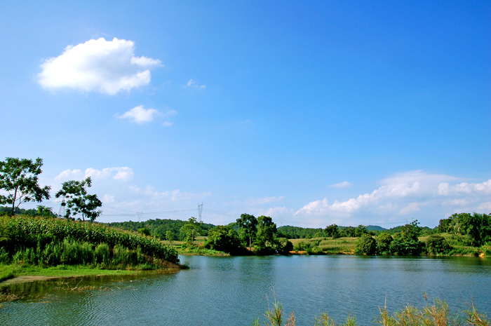 盛夏 摄影 欧阳晓佳