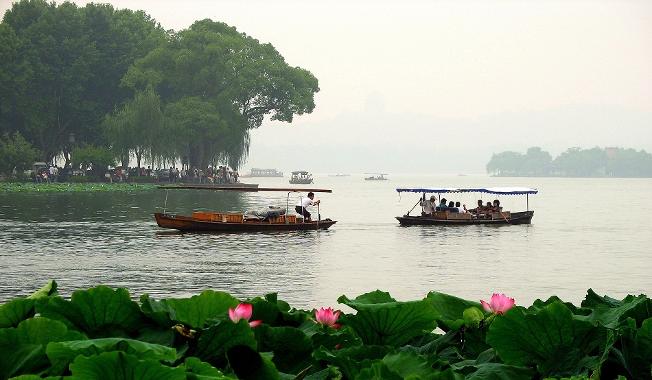 西湖、荷花 摄影 天堂寨