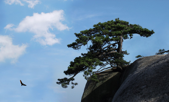 岳西河图妙道山之——长空 摄影 茶之语