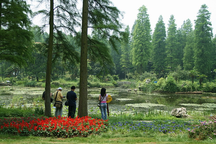 植物园风景 摄影 楚园秋韵