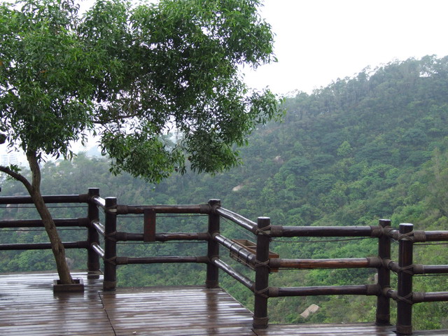 shijingshan 摄影 白鸽188