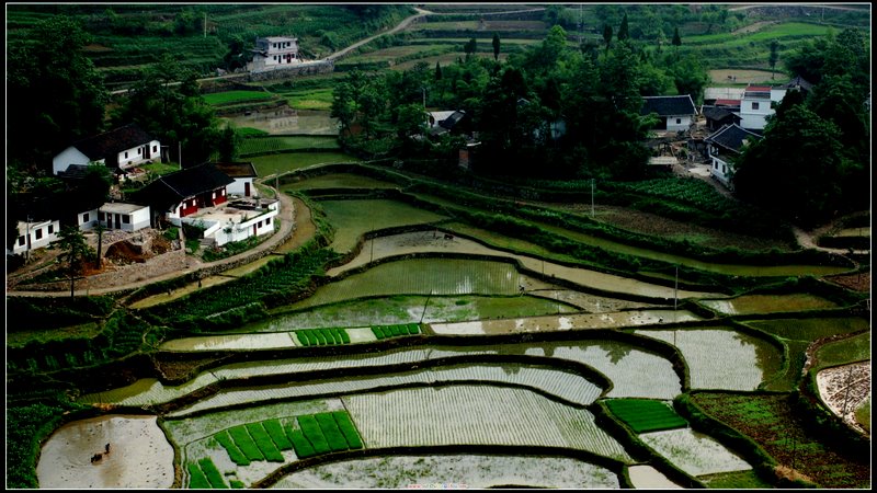 田园景色 摄影 hanxiaorong