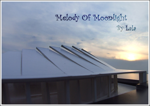 Melody of moonlight 摄影 尔拉