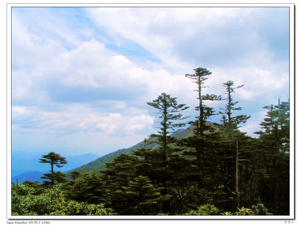 老君山 摄影 老毛毛熊