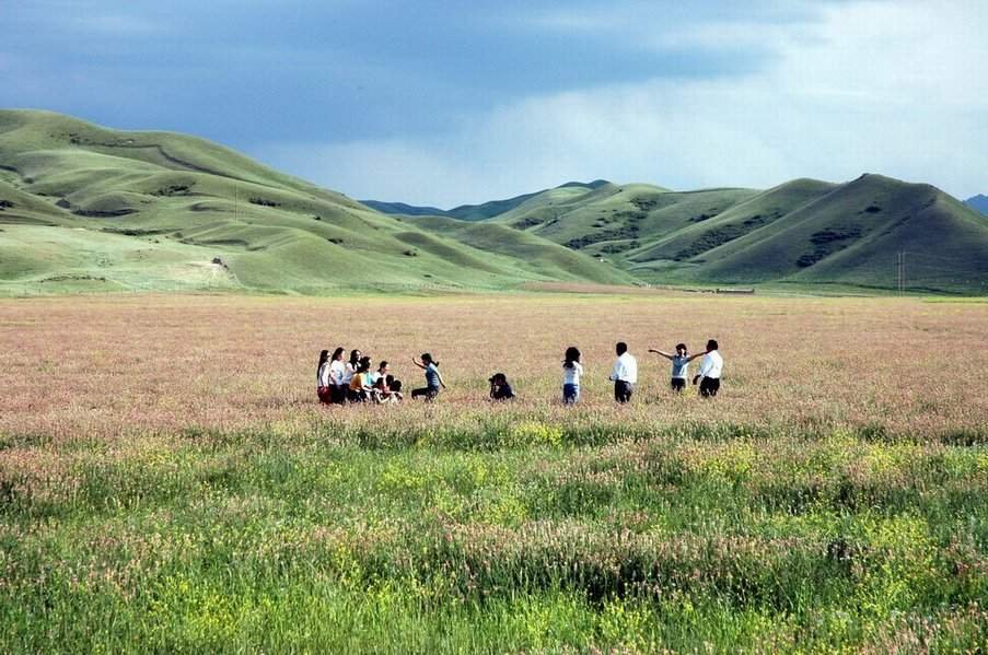 天山花海 摄影 西部游侠