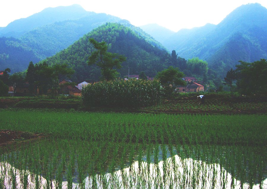 塔石游（1）——大爱无言 摄影 千岛湖