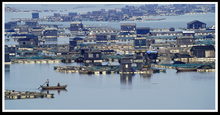 海上新家园 摄影 春之驴