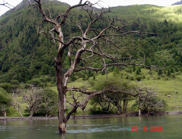 生命的延续 摄影 郁晔