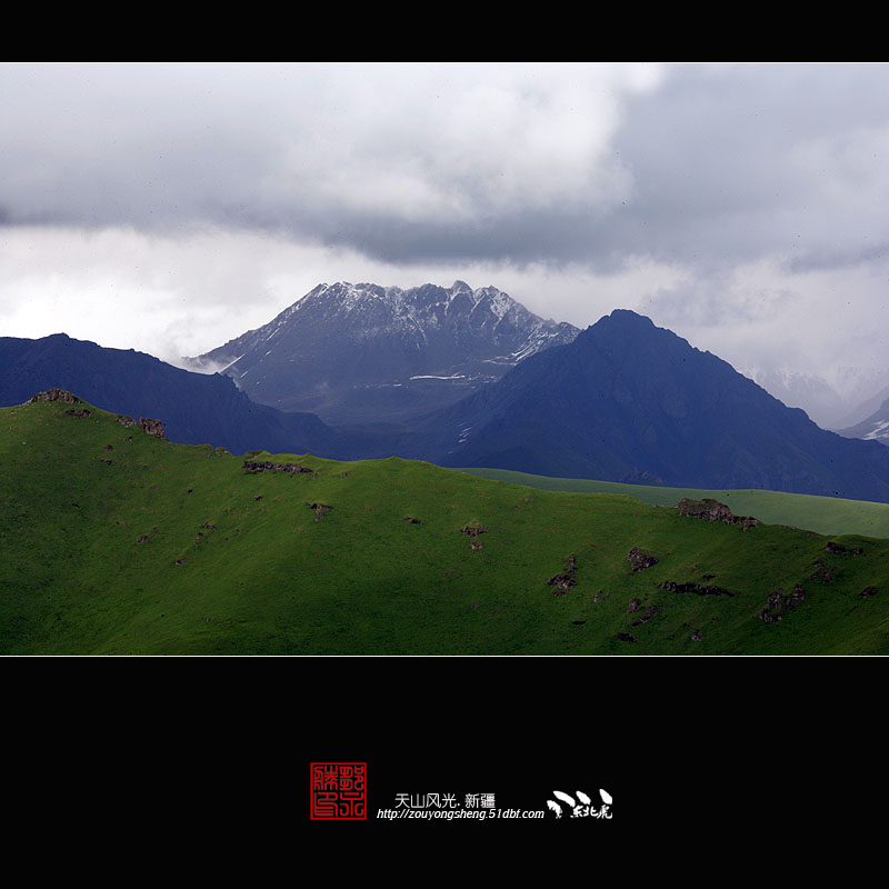 天山风光 摄影 东北虎