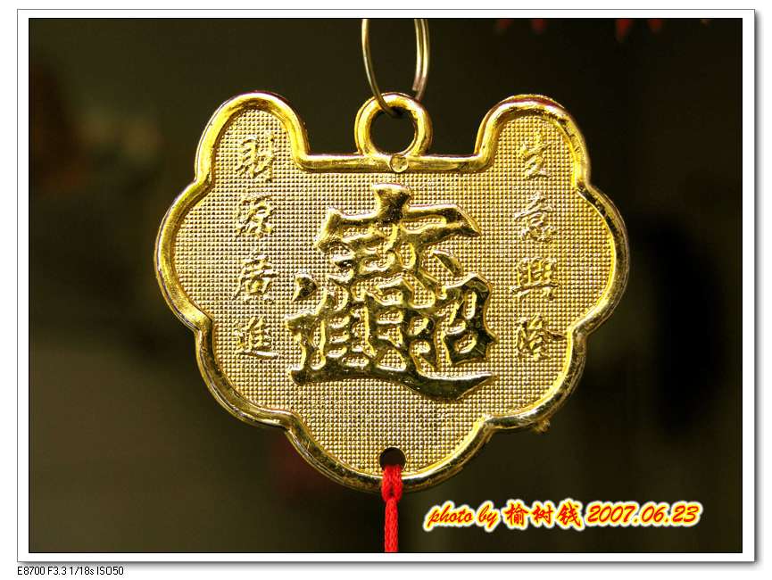 恭喜发财 摄影 榆树钱