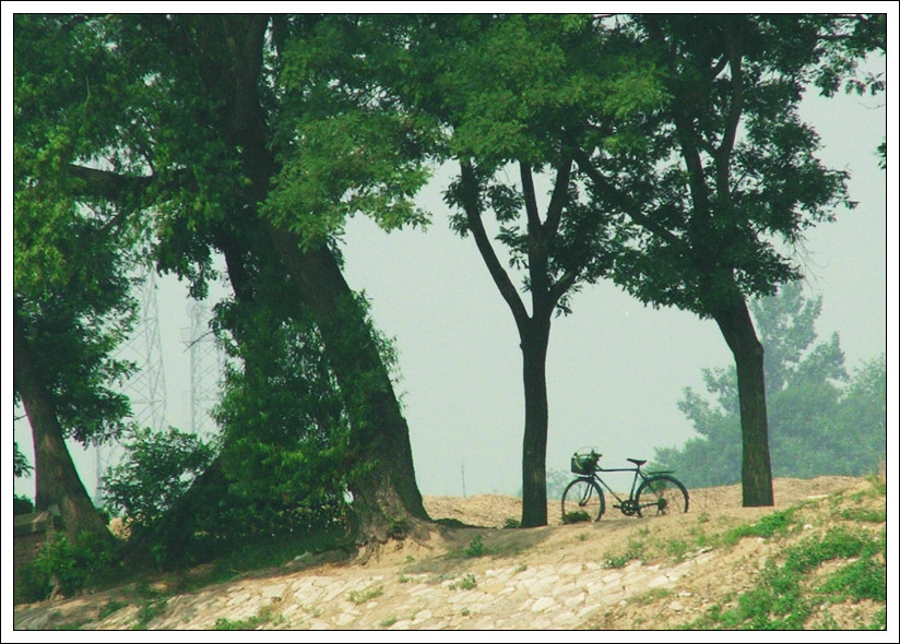 夏日 摄影 lihushan