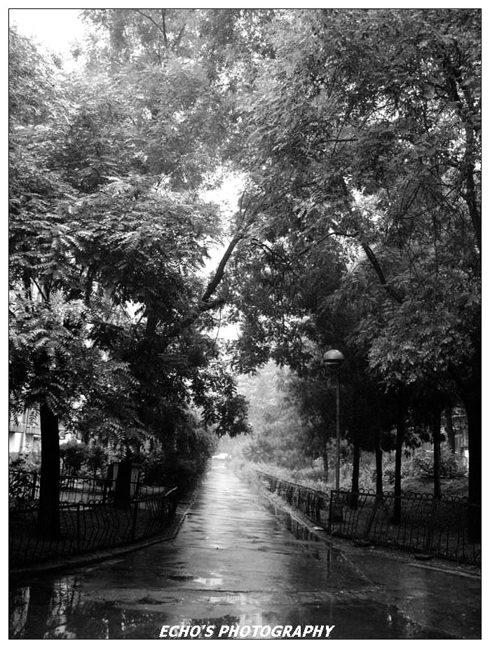 雨.路.清 摄影 风雨悠然