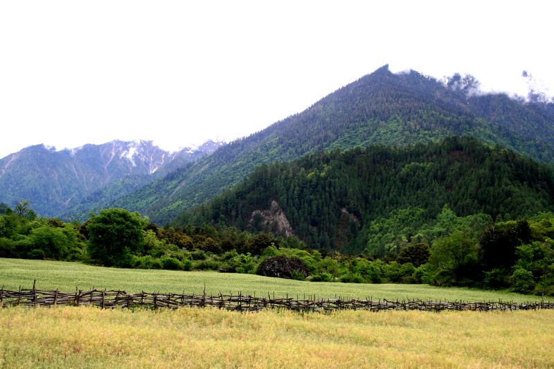 川藏路边小景 摄影 仙石